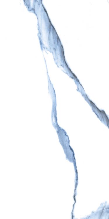 Calacatta Blue Matte 12 x 24